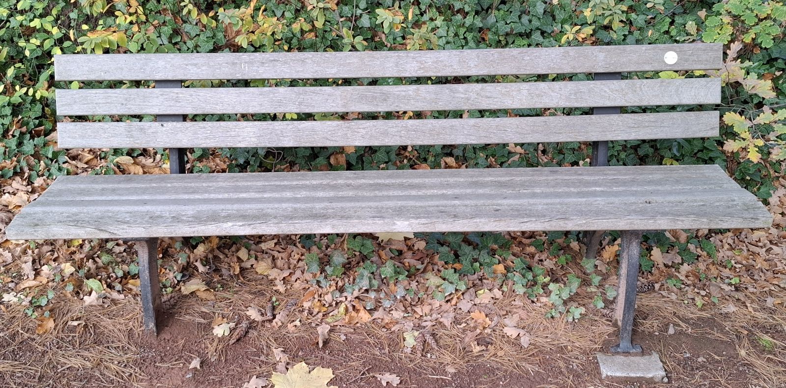 Schopenhauer und das törichte Streben nach Reichtum